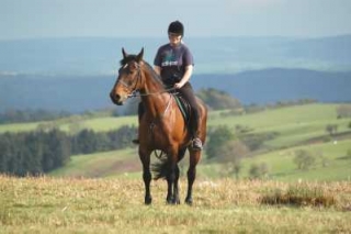  Passeggiata a cavallo vicino al Mont Ventoux 
